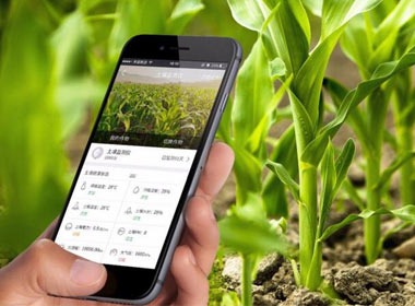 讓農(nóng)業(yè)搭上“互聯(lián)網(wǎng)”快車(chē)